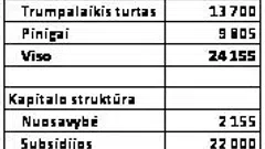 Parduodamas naujo 2018 m. mikroautobuso nuomos verslas
