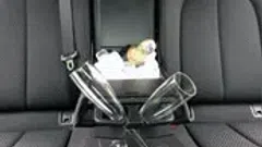 Automobilio vestuvėms nuomos verslas VestuvesVeza.lt