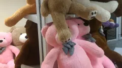 Didelių pliušinių meškinų e-parduotuvė
