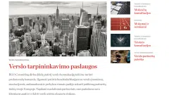 Parduodamas internetinis verslo konsultacijų puslapis - 2