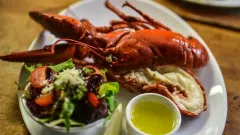 Foxes cheese & lobster - 3