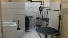 veterinarijos klinika