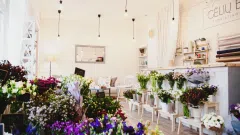 Floristikos studija, gėlių salonas