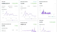 PARTNERIO INTERNETINIAM VERSLUI. 2 MEN. REVENUE 80K. PROFIT ±20%