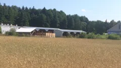 Parduodama medžio apdirbimo įmonė