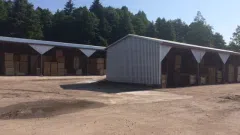 Parduodama medžio apdirbimo įmonė - 3