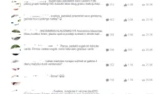 Parduodamos labai aktyvios grupės( Nėštumas, mamytės 47k narių ir Anekdotai 127k narių)