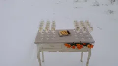 Parduodu vestuvinį staliuką su taurėmis