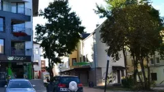 MIESTO CENTRE IŠNUOMOJAMOS PATALPOS