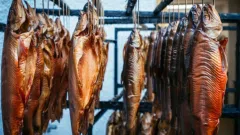 26m išvystytas žuvies gamybos (rūkymas, vytinimas) verslas su patalpom
