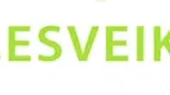 Parduodama elektroninė parduotuvė ir domenas - www.esveikas.lt