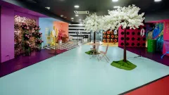 Asmenukių fotostudija - 2