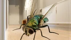 Spausdinimas ant visų vertikalių paviršių - 2