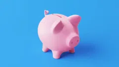 Ieškoma investicija/paskola