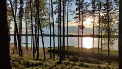 Nuomos verslas patrauklioje vietoje - šalia miško bei ežero - 3