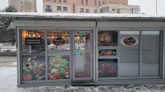 Mangal Saray