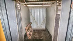PARDUODAMAS PELNINGAI VEIKIANTIS ŠALDYTOS PRODUKCIJOS GAMYBOS VERSLAS, ĮSKAITANT NEKILNOJAMĄ TURTĄ, ĮRANGĄ, LICENCIJAS, DARBUOTOJUS, KONTAKTUS, SUTARTIS SU PREKYBOS TINKLAIS. - 3