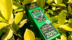 CBD aliejaus verslas su produktais