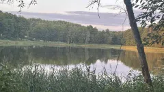 Investicija , paskola