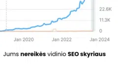 Į grąžą orientuotos reklamos paslaugos SEO | SEM | PPC