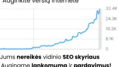 Į grąžą orientuotos reklamos paslaugos SEO | SEM | PPC - 2