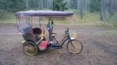 Elektrinis triratis - Rikša - rickshaw
