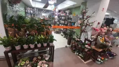 Gėlių verslas prekybos centre