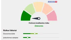 Parduotu e-parduotuvę - esant poreikiui kartu su įmone. - 2