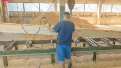Parduodama sėkmingai veikianti įmonė Lentpjūvė - 2