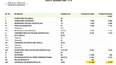 Parduodama UAB PVM mokėtoja su 6 m. veiklos istorija - 3