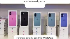 „iPhone 16/15/14/13/12/11“ didmeniniai tiekėjai išsimokėtinai (WhatsApp +1-323-744-5796) - 2