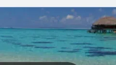 Turizmo agentūra