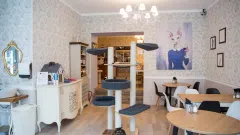 Investicinis objektas Vilniuje (Gedimino pr.) - 2