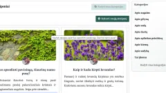 PARDUODU PARUOŠTĄ INTERNETINĮ VERSLĄ - 2