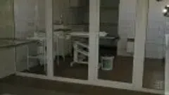 veterinarijos klinika, vaistine,kirpykla Kaune, Šilainių mikrorajone.