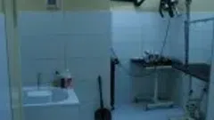 veterinarijos klinika, vaistine,kirpykla Kaune, Šilainių mikrorajone. - 3