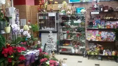 Parduodamas  gėlių salonas - 2
