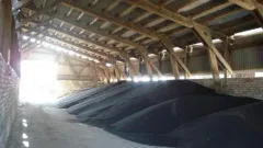 Agricultural business in Russia, Kaliningrad - 2