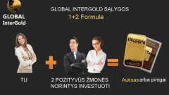 Nuosavas verslas internetu