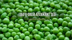 Tag’ų galia atliekant SEO. Praktiniai patarimai.