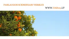 UAB123 – greitas įmonių steigimas, teisinės konsultacijos, skolų išieškojimas, buhalterinė apskaita