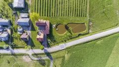 Parduodamas veikiantis sausmedžių ūkis su gamyba, statiniais ir infrastruktūra - 2