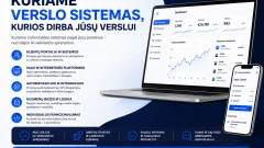 Verslo sistemų, web sistemų kūrimas pagal poreikį