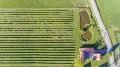 Parduodamas veikiantis sausmedžių ūkis su gamyba, statiniais ir infrastruktūra - 3
