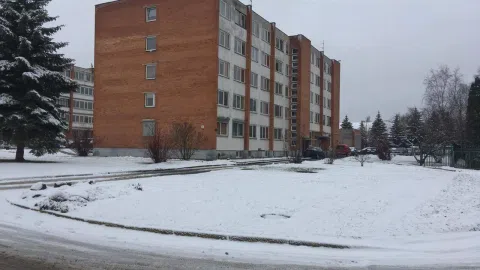 Nuomos verslas - 1