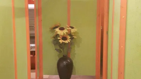 Parduodamas soliariumo verslas - 1