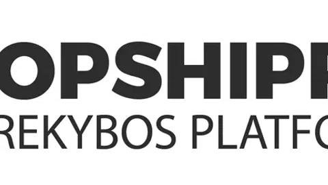 Dropshipping.lt - dropship paslaugos Lietuvoje - 1