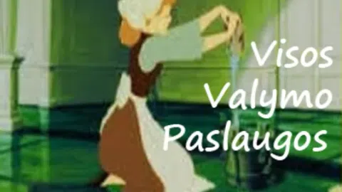 Visi valymo darbai Vilniuje ir Lietuvoje - 1