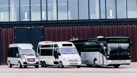 Partybusų / Limobusų nuomos verslas - 1