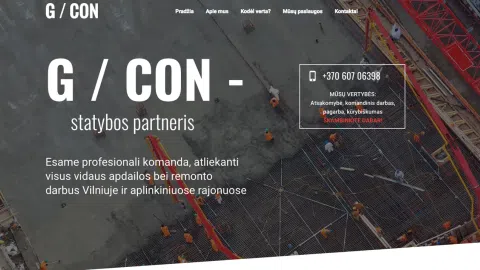 Parduodu interneto puslapi su domenu www.vilniausapdaila.lt - 1